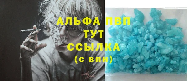ALPHA PVP Новозыбков