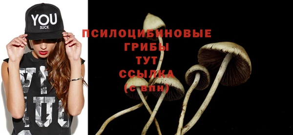 скорость Новодвинск