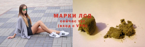 ALPHA PVP Новозыбков
