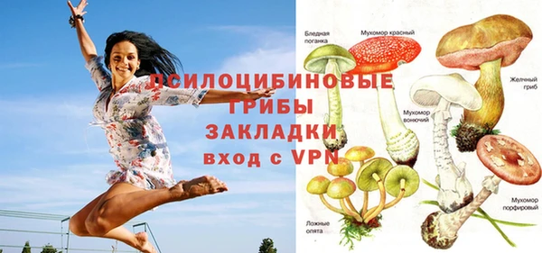 ALPHA PVP Новозыбков