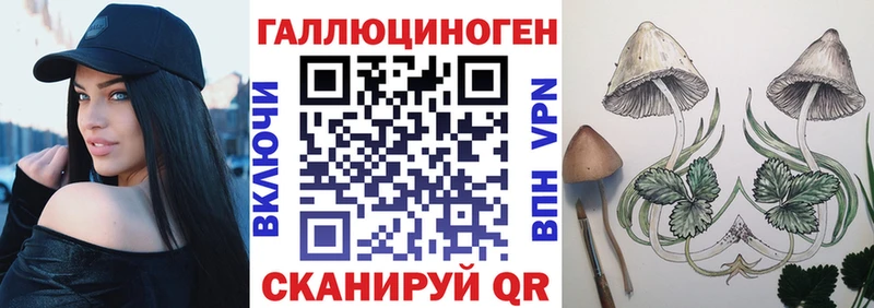 Псилоцибиновые грибы прущие грибы  где продают наркотики  Трубчевск 